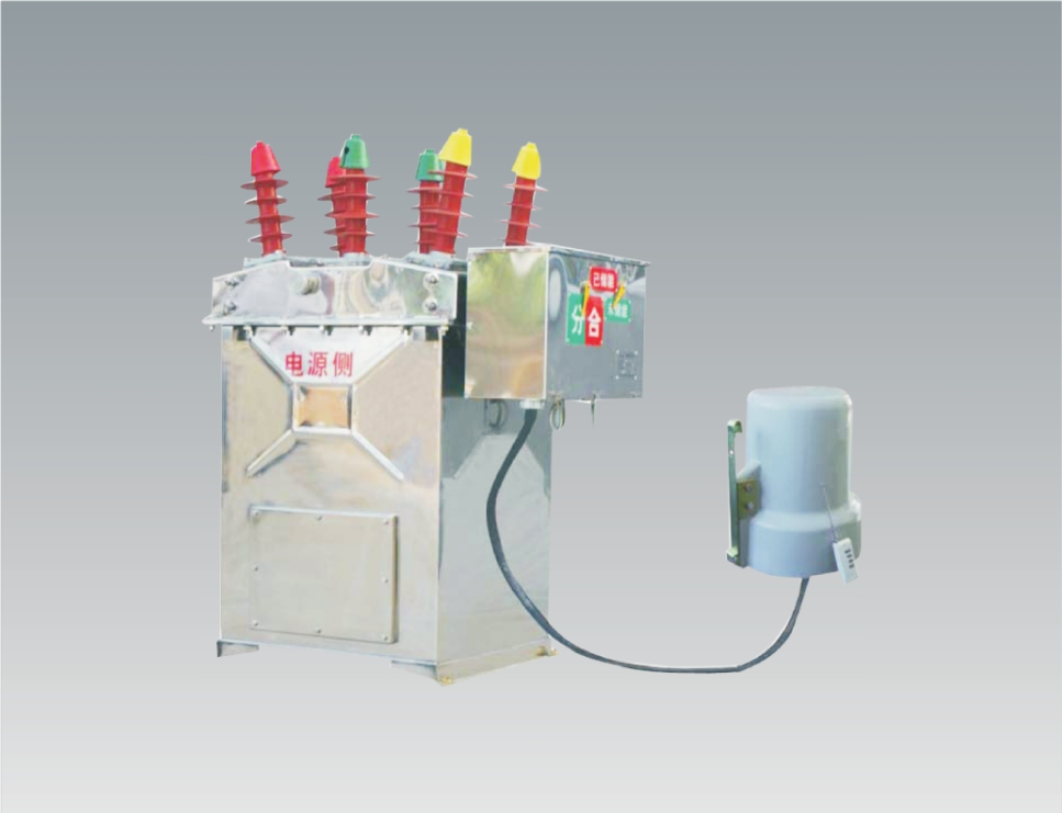 ZW8-12用戶分界開關(guān)(看門狗)